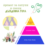Аромат за сапуни и свещи - Дъждовна гора