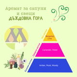 Аромат за сапуни и свещи - Дъждовна гора